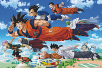 Dragon Ball Super - Poster - Goku´s Group