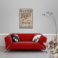 One Piece - Poster - Wanted Ace