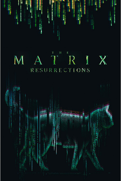 Matrix - Poster - Cat