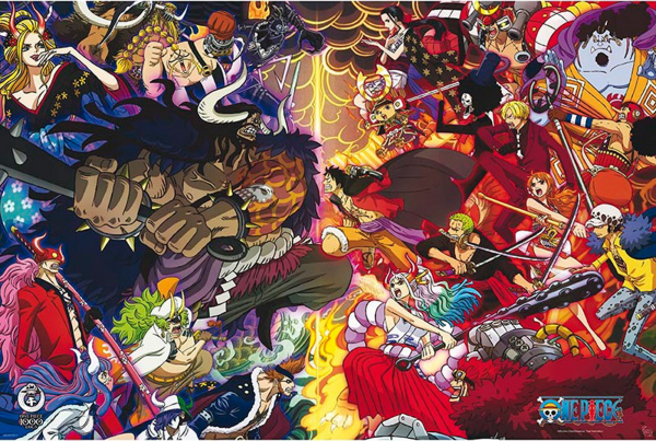 One Piece - Poster - Final Fight