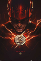 Flash, The - Poster - Movie