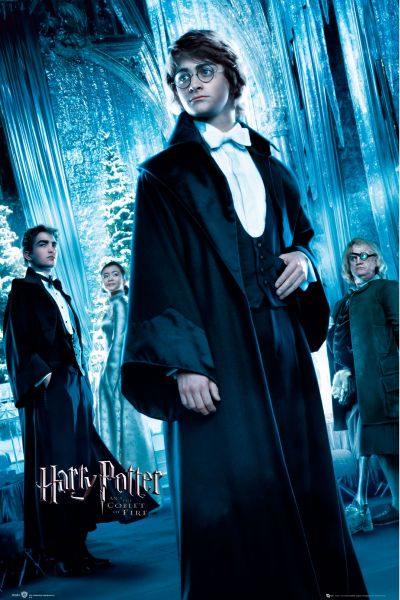 Harry Potter - Poster - Harry Ball