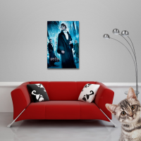 Harry Potter - Poster - Harry Ball