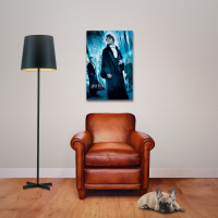 Harry Potter - Poster - Harry Ball