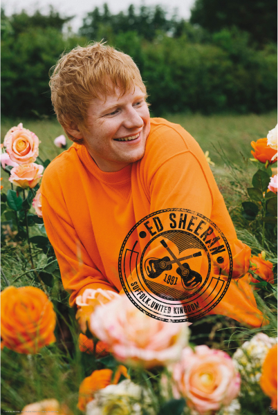 Sheeran, Ed - Poster - Champ de roses
