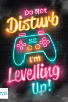Gaming - Poster - Levelling Up