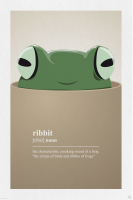 Fun - Poster - Ribbit
