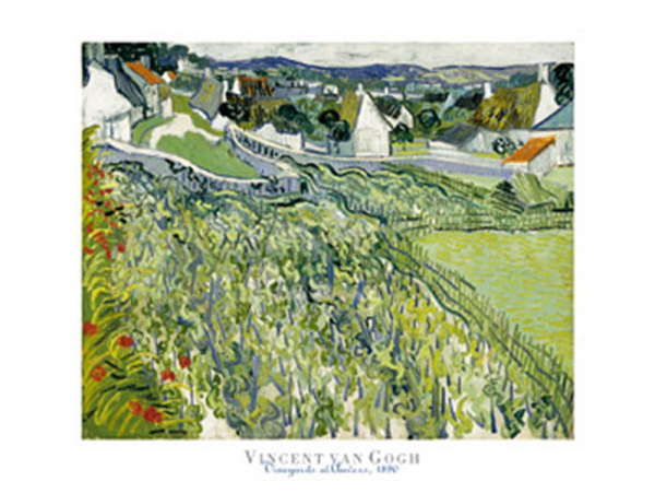 Van Gogh, Vincent - Kunstdruck - Vineyards at Auvers, 1890
