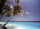 Strände - Mini-Poster - Palmtrees