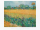 Van Gogh, Vincent - Kunstdruck - Vista di Arles con irises