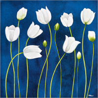 Luffarelli, Maria Grazia - Kunstdruck - Tulipani