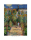 Monet, Claude - Kunstdruck - Le jardin de lartiste