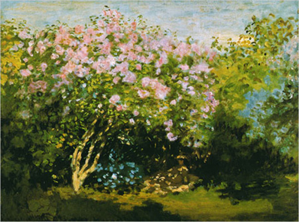 Monet, Claude - Kunstdruck - Blühender Flieder in der