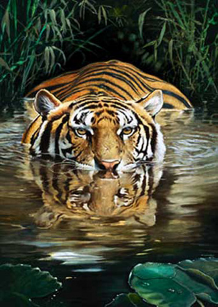 Casaro, Renato - Kunstdruck - Bamboo