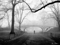 Silberman, Henri - Kunstdruck - Gothic Bridge, Central Park