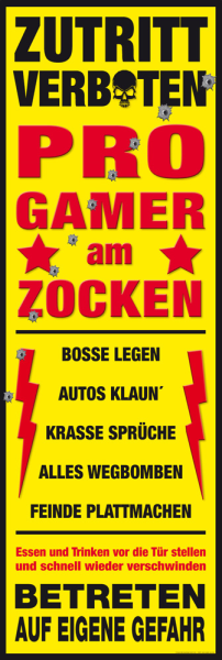 Fun - Türposter - Progamer Am Zocken
