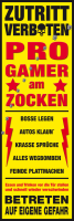 Fun - Türposter - Progamer Am Zocken