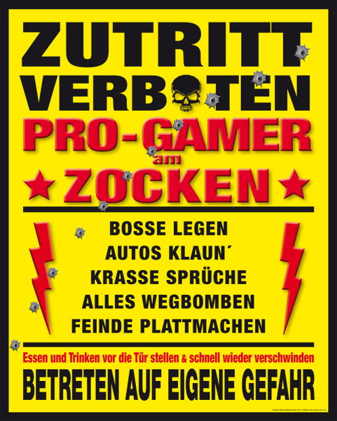 Gaming - Mini-Poster - Progamer Am Zocken