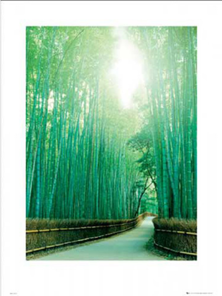 Motivational - Kunstdruck - Pathway - Of Tranquillity