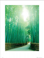 Motivational - Kunstdruck - Pathway - Of Tranquillity