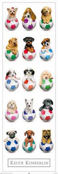 Kimberlin, Keith - Türposter - Balls