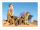 Erdmännchen - Kunstdruck - Meerkats - Babysitter