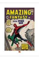 Spider-Man - Kunstdruck - 1. Ausgabe