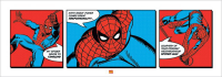 Spider-Man - Kunstdruck - Triptychon