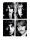 Beatles, The - Kunstdruck - White Album