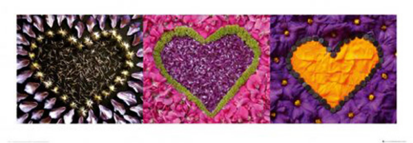 Herzen - Kunstdruck - Madelenes lila