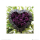 Madalenes Hearts - Kunstdruck - Purple