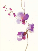 Thornton, Summer - Kunstdruck - Velvet Orchid