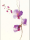 Thornton, Summer - Kunstdruck - Velvet Orchid