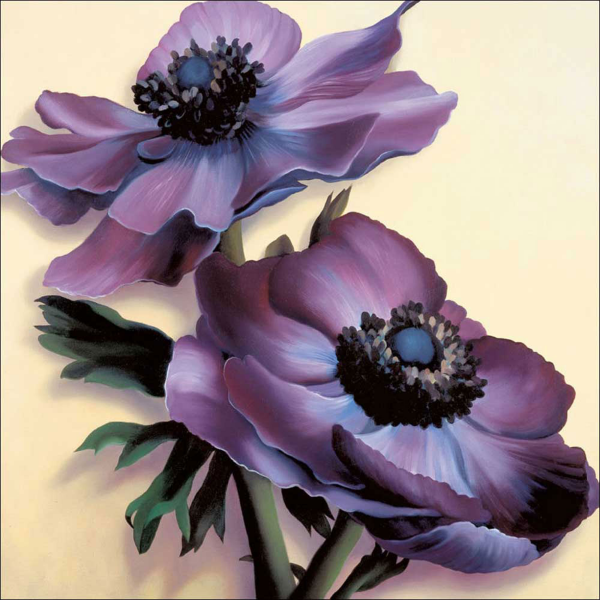 Deacon, Rachel - Kunstdruck - Purple Anemones