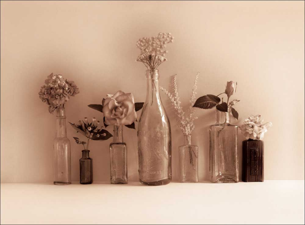 Winstanley, Ian - Kunstdruck - Flower Collection