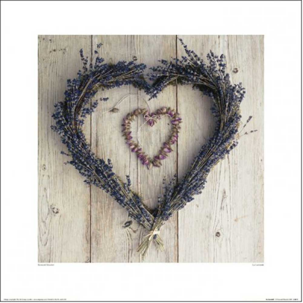 Shooter, Howard - Kunstdruck - La Lavende