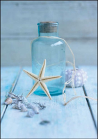 Shooter, Howard - Kunstdruck - Seaside Treasure