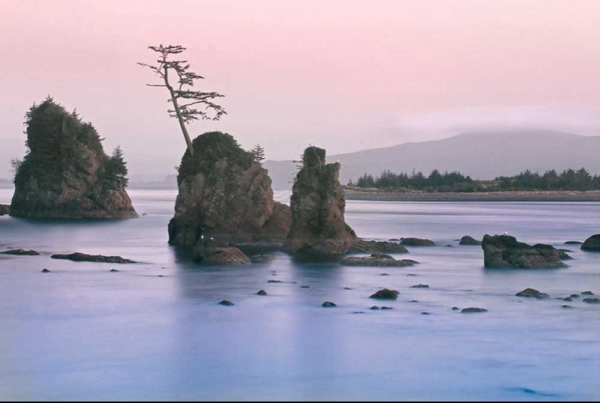 Carmel, Elizabeth - Kunstdruck - Pacific Coast