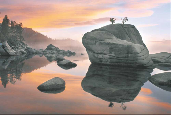 Carmel, Elizabeth - Kunstdruck - Sunset, Bonsai Rock