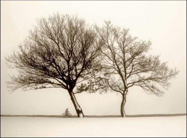 Wellman, Ilona - Kunstdruck - Foggy Evening