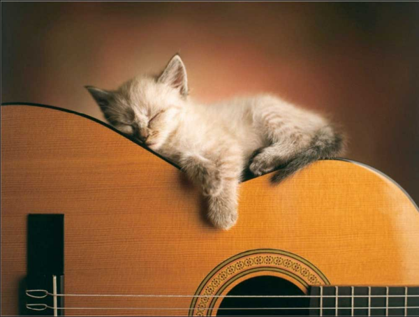 Chantrenne, Xavier - Kunstdruck - Sleeping Soundly