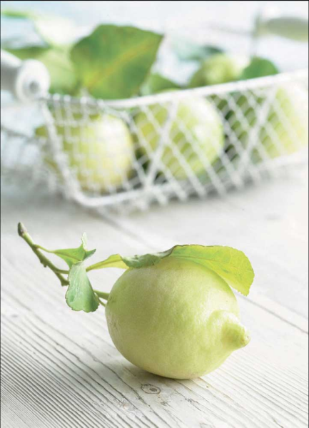 Shooter, Howard - Kunstdruck - Lemons