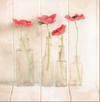 Winstanley, Ian - Kunstdruck - Anemones in Bottles