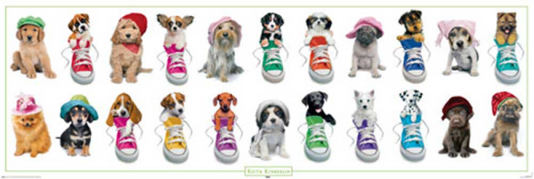 Kimberlin, Keith - Türposter - Hunde