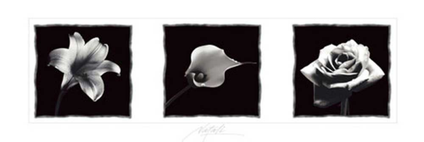 Blumen - Slim-Poster - Triptychon 2