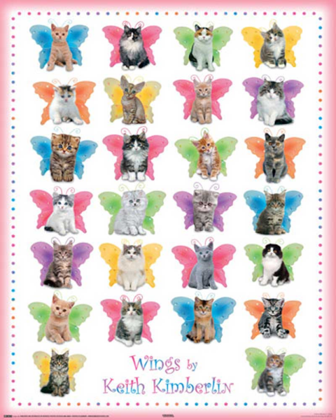 Kimberlin, Keith - Mini-Poster - Wings Cats