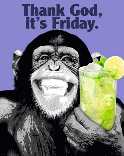 The Chimp - Mini-Poster - Friday