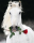 Pferde - Mini-Poster - Lipizzaner mit Rose
