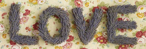 Shooter, Howard - Slim-Poster - Love