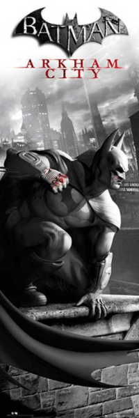 Batman - Slim-Poster - Arkham City - Cover